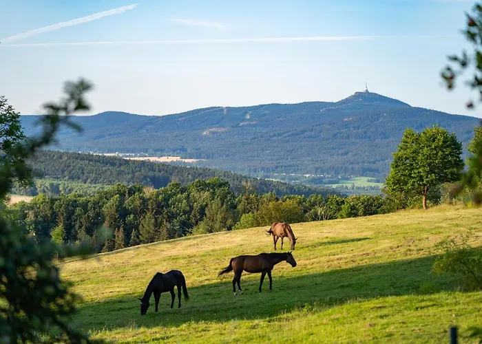 Camping Maringotky Na Ruzku Nova Ves (Liberec)